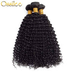 Top Quality 9A 3Pcs Jerry Curly With 4x4 Lace Closure Soft Indian Virgin Hair Bundles - Ossilee Hair