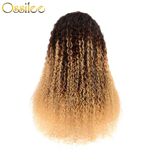 Ombre Color 13x4 Pre-Plucked Lace Front  Wig 150% Density Kinky Curly Wig - Ossilee Hair