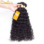 Brazilian Water Wave 3 Bundles 9A Grade Water Wave High Quality - Ossilee Hair