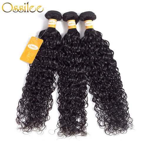 9A Grade 3Pcs Water Wave With 4x4 Lace Closure Soft Indian Virgin Hair Bundles - Ossilee Hair