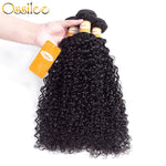 Two Pieces Human Hair Bundles Water Wave - Ossilee Hair