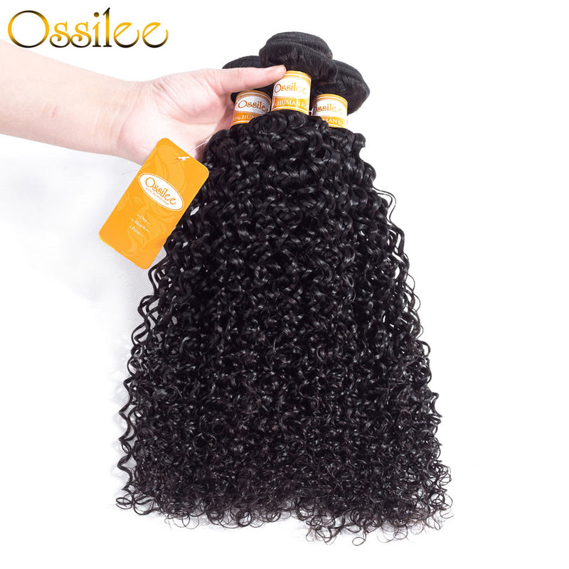 Two Pieces Human Hair Bundles Water Wave - Ossilee Hair