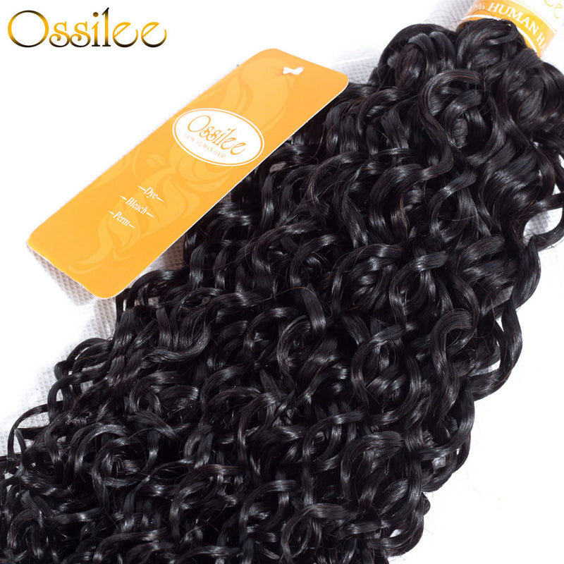 Two Pieces Human Hair Bundles Water Wave - Ossilee Hair