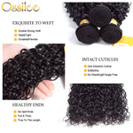 9A Grade 3Pcs Water Wave With 4x4 Lace Closure Soft Indian Virgin Hair Bundles - Ossilee Hair