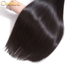 Malaysian Straight Hair With Lace Closure 5Pcs/lot Malaysian Hair Bundles Remy Straight Hair - Ossilee Hair