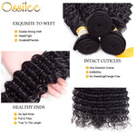 Best Quality 9A Peruvian Virgin Hair 3Bundles With Lace Closure Deep Wave Hair - Ossilee Hair