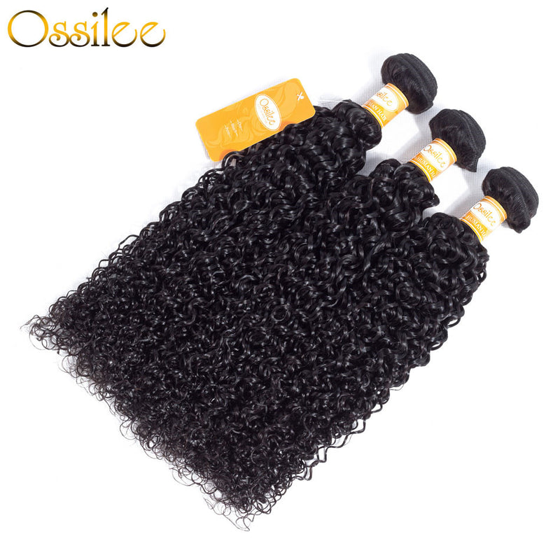 9A Grade Brazilian Kinky Curly 2/3Bundles With 13x4 Pre-Plucked Lace Frontal - Ossilee Hair